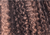 Seco