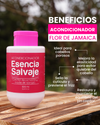 KIT Flor de Jamaica - Crecimiento Y Humectación