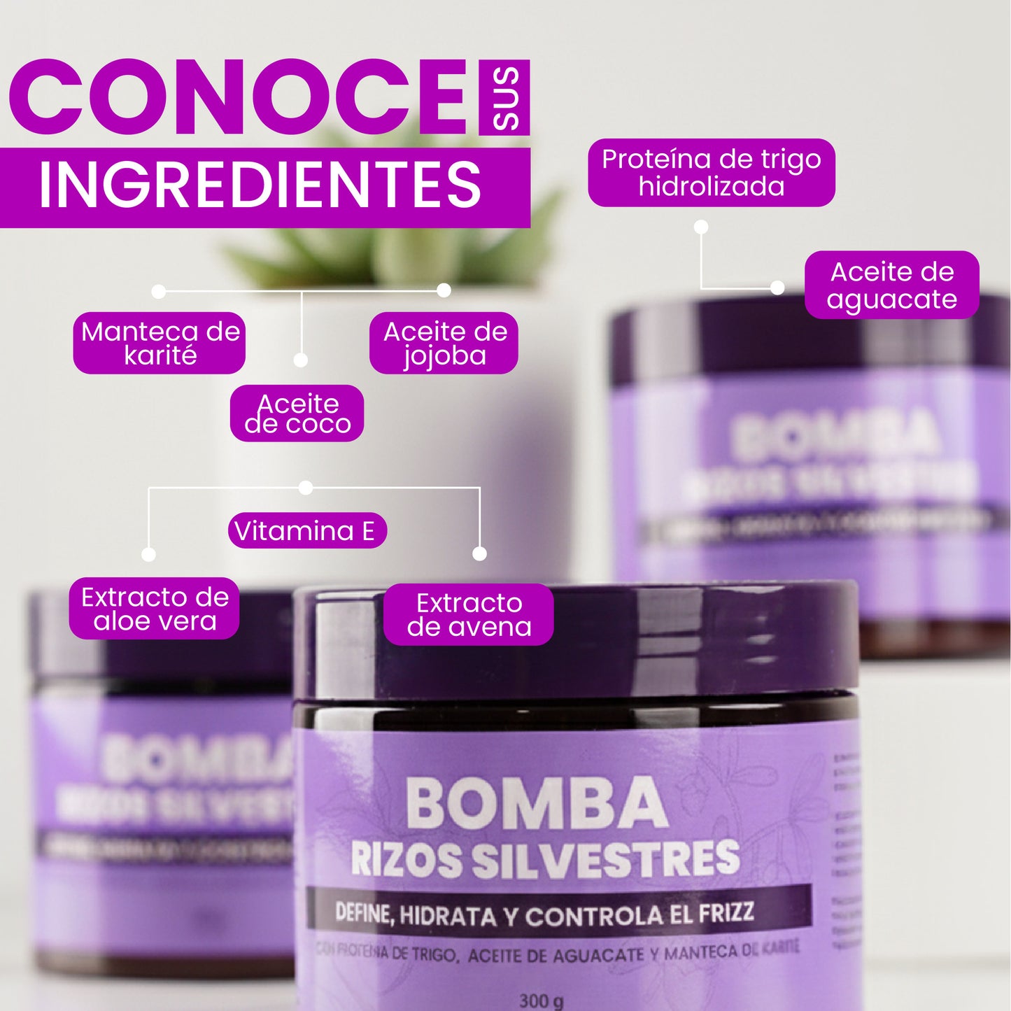 Bomba Rizos Silvestres 300gr