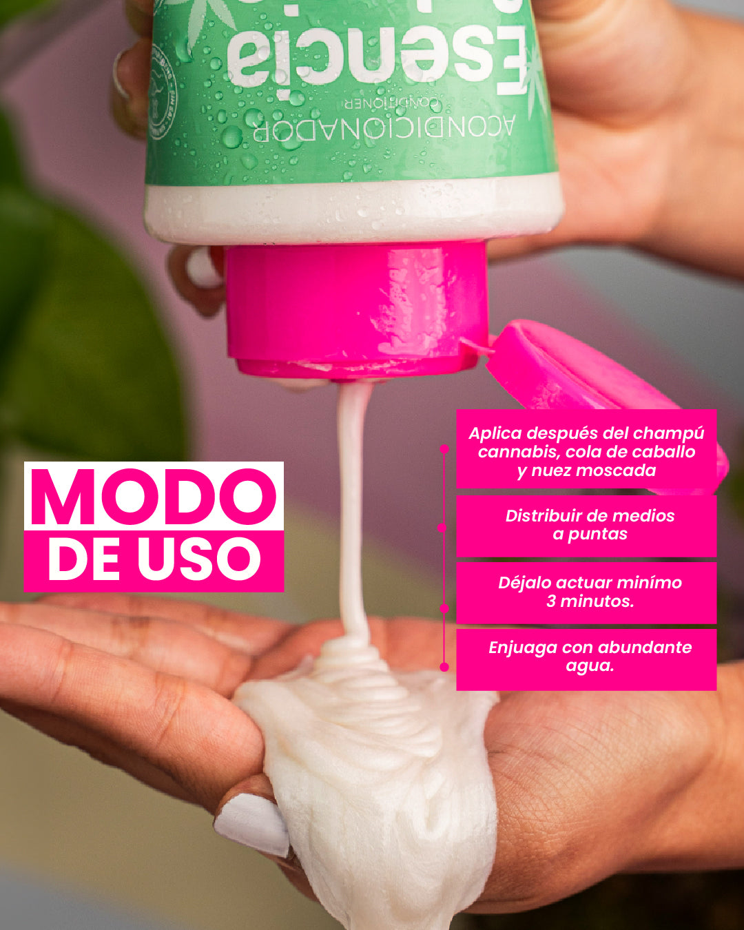 Acondicionador Cannabis, Cola de caballo y Nuez