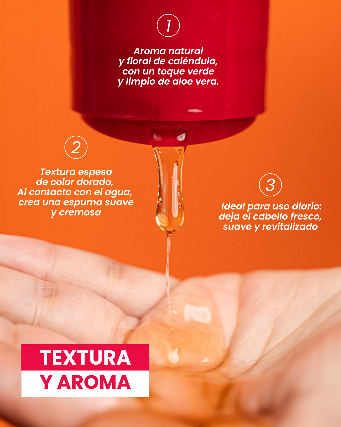 Champú Pa Pelo Mixto (Camelia Silvestre) 500ml